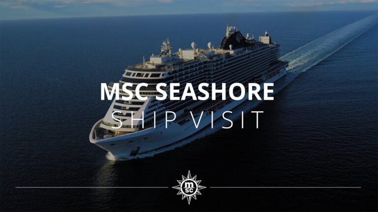 ¡Descubre los lujosos cruceros MSC desde Valencia con todo incluido!