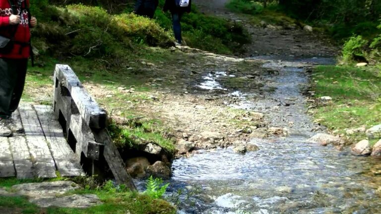 Descubre las mágicas excursiones a Hellesylt con MSC: ¡Un paraíso noruego en tus manos!