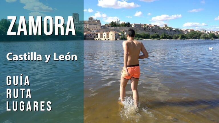 5 Razones para Visitar Zamora: Descubre su Encanto