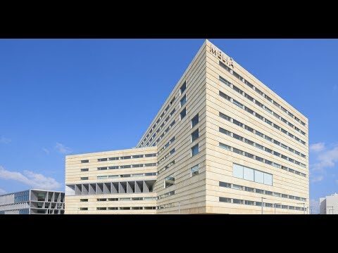 Explorando la belleza de la bah&iacute;a de Palma