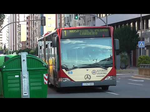 Guía de Autobuses Urbanos en Logroño: Horarios y Rutas