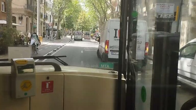 Guía para el curso de Bus 495: Estrategias y mejores prácticas