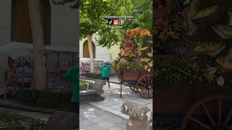 Actividades imperdibles en Gran Canaria hoy