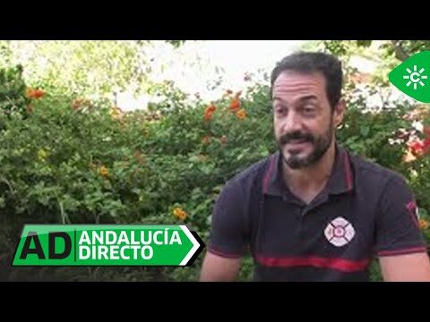 Fremap Dos Hermanas: Todo lo que necesitas saber