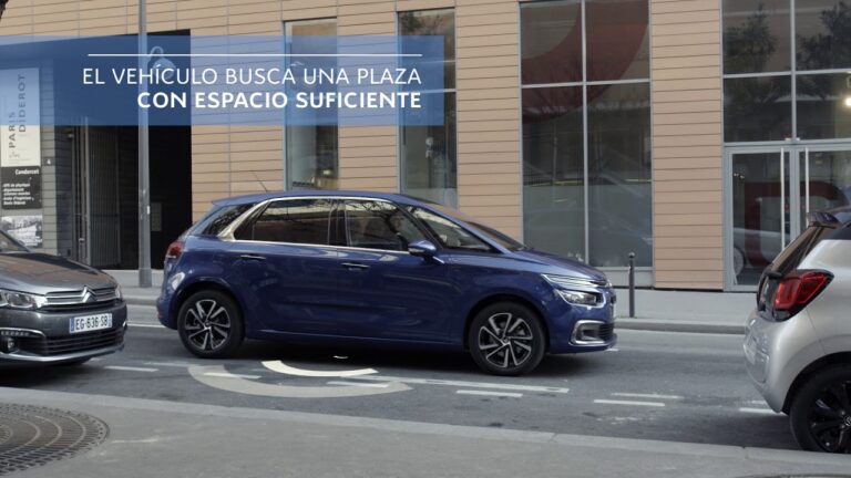 El Arte del Estacionamiento: Picasso en Acci&oacute;n