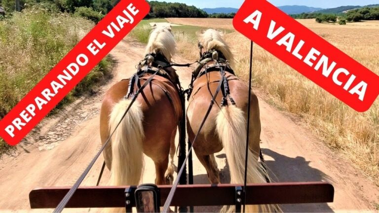 Distancia en kil&oacute;metros entre Barcelona y Valencia