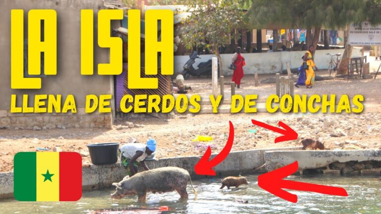 La Isla de Joal Fadiouth: Un Para&iacute;so en Senegal