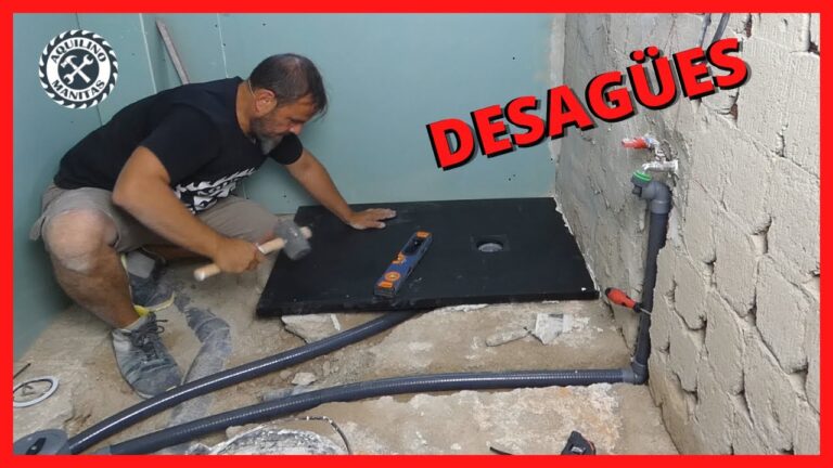 D&oacute;nde colocar los botes en la ducha: Organizaci&oacute;n y optimizaci&oacute;n