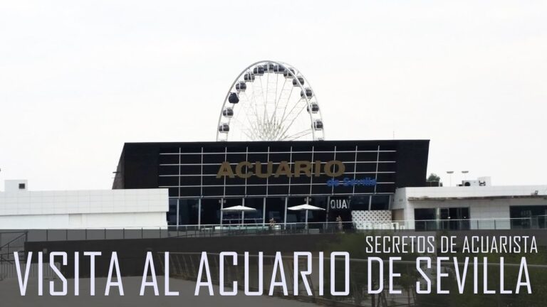 Reseñas del Acuario de San Sebastián