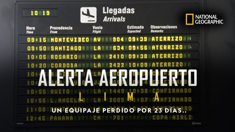 Vueling: ¿Qué hacer si pierdes objetos durante tu viaje?