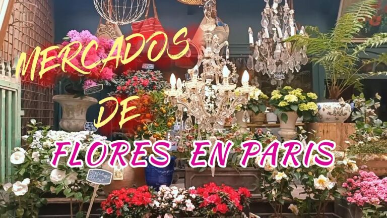 El Mercado de las Flores de París: Un paraíso floral en la ciudad del amor