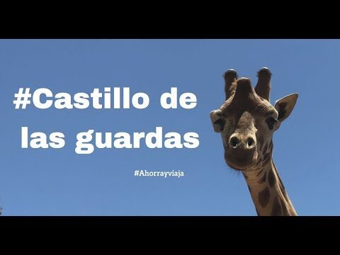 Descubre el Precio del Coche en Castillo de las Guardas