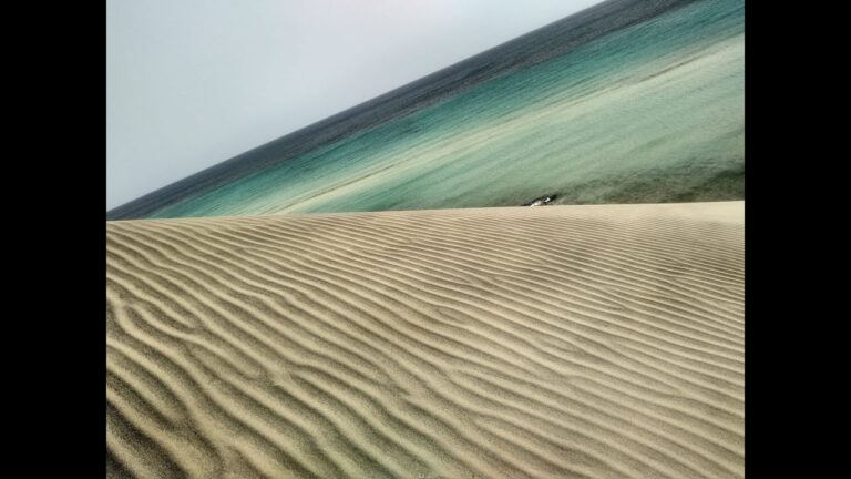 Descubre la Belleza de Playa Rosa en Fuerteventura