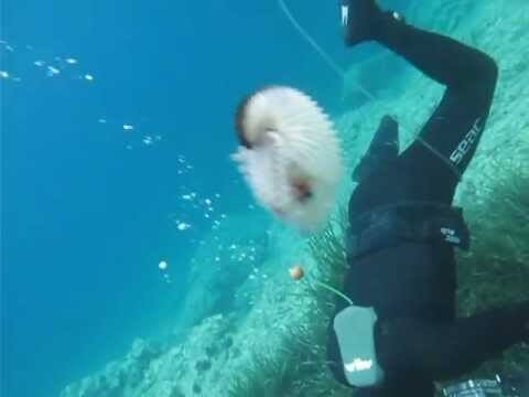 Explorando la m&iacute;tica Cala Dragunara