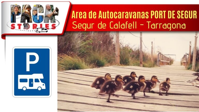 Actividades en Puerto Segur de Calafell: Ocio y Diversi&oacute;n Costera