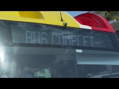 TIB Sa Rapita: La Solución de Transporte Optimizada