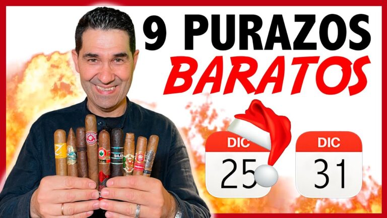 Los 10 mejores puros baratos