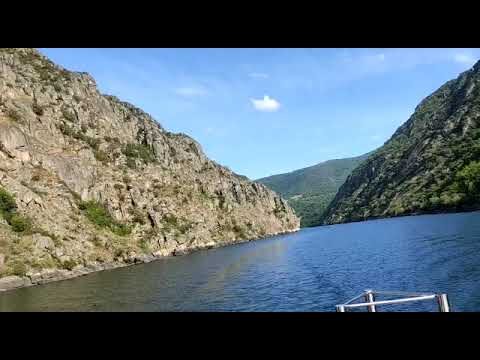 Explorando los Fiordos Gallegos: Naturaleza en Estado Puro