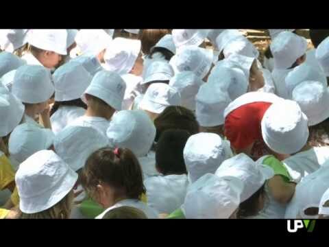 Excursiones organizadas desde Valencia: Descubre los mejores destinos.