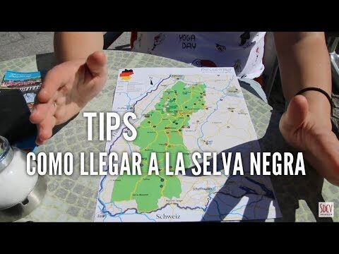 Guía del aeropuerto en la selva negra: consejos para viajar sin contratiempos