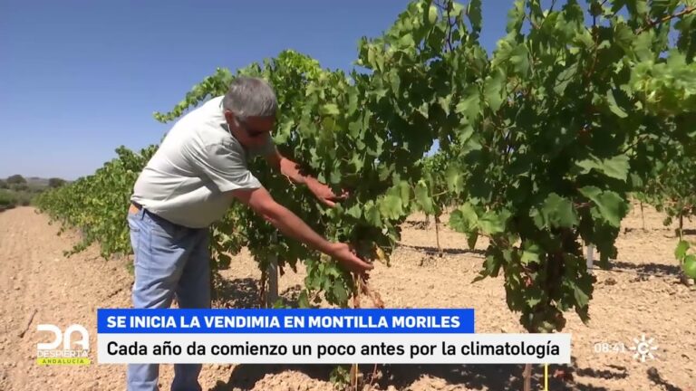 Pronóstico del clima de 10 días para Moriles