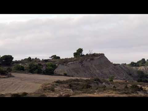 Reservas Naturales: Tesoros de la Naturaleza
