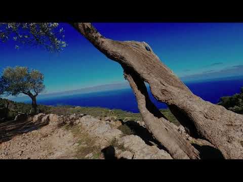 Glaciar en Palma de Mallorca: Descubriendo un Tesoro Oculto