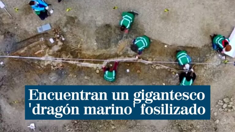 Los Huesos de Drag&oacute;n en Venecia: Misterios y Leyendas