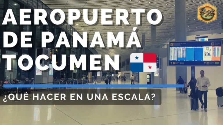 La importancia de la PTY en el mundo moderno