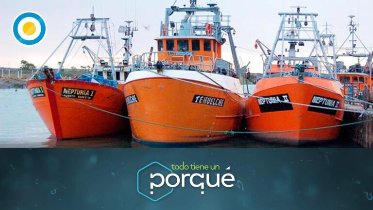 Trayectorias de un barco: &iquest;D&oacute;nde se reduce la velocidad al m&iacute;nimo?