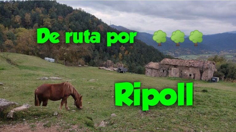 Explorando la Ruta del Hierro en Ripoll