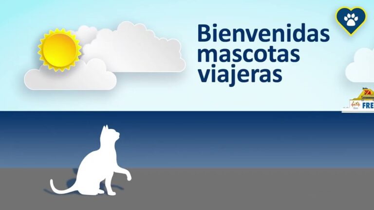 Fred Olsen: La mejor opción para viajar con perros