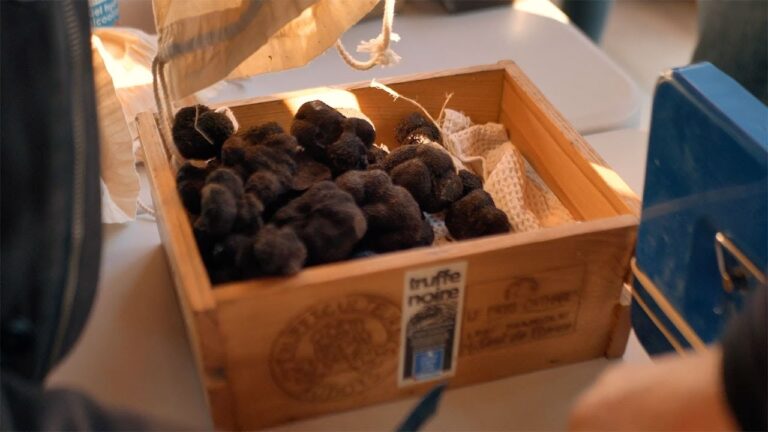 Descubre los encantos de Caunes Minervois