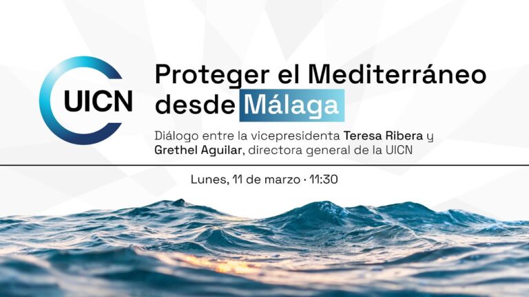 Descubre los Mejores Destinos Desde Málaga
