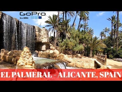 Explorando el Paraíso Verde de Alicante: Parc El Palmeral