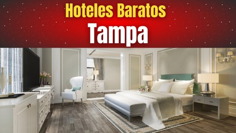 Hotel econ&oacute;mico en Tampa: Encuentra tu alojamiento ideal