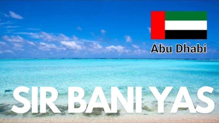 Explorando la Isla Sir Bani Yas: Naturaleza y Aventura
