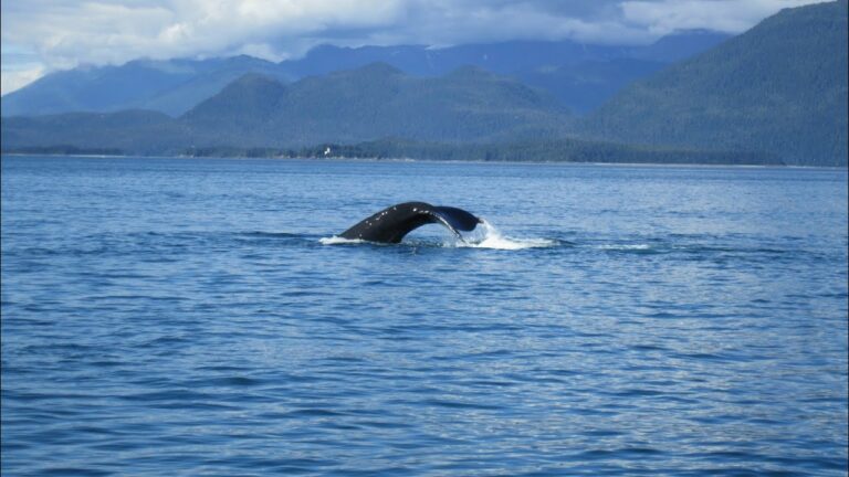 Explorando Juneau, Alaska: La Capital de EE UU en el Norte