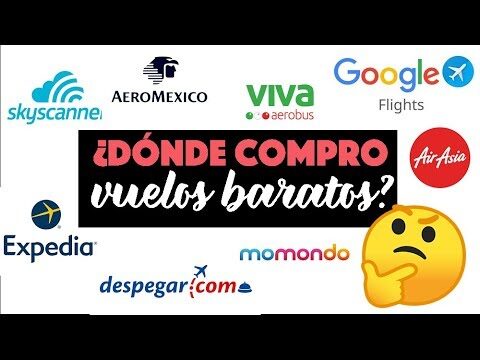 Todo sobre los seguros de viaje de momondo: guía completa
