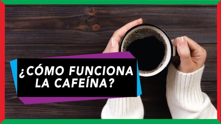 Paradoja de la cafeína: ¿Por qué me da sueño?