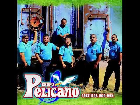 Los pel&iacute;canos migratorios: en busca del norte