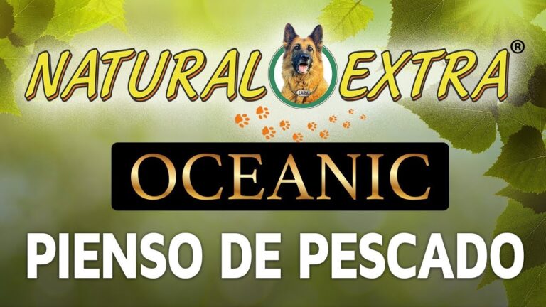 Explorando el misterioso mundo del oc&eacute;ano con Pienso Oceanic