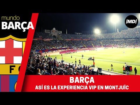 Estadio Olímpico de Barcelona: Asientos y Comodidad