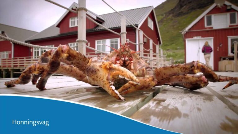 Explorando los encantos de Islandia y los fiordos noruegos en crucero