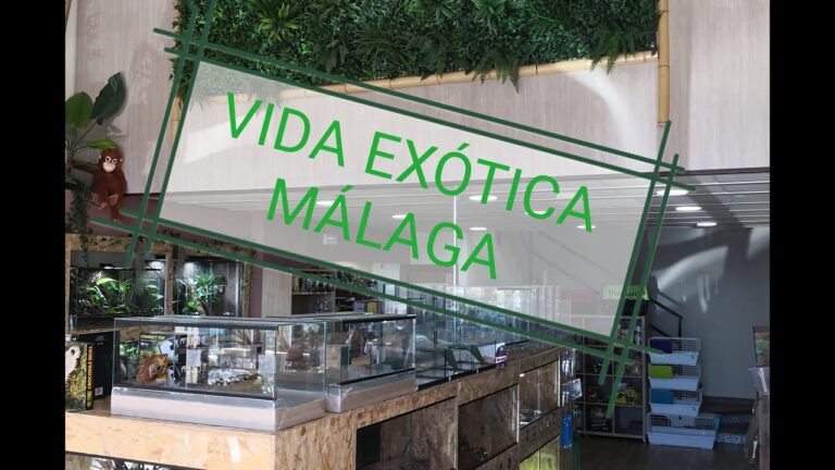 Explora la Vida Exótica en Málaga: Una Aventura Inolvidable