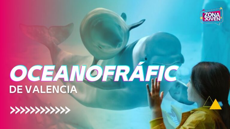 Descubre la Experiencia 2×1 en Oceanogràfic