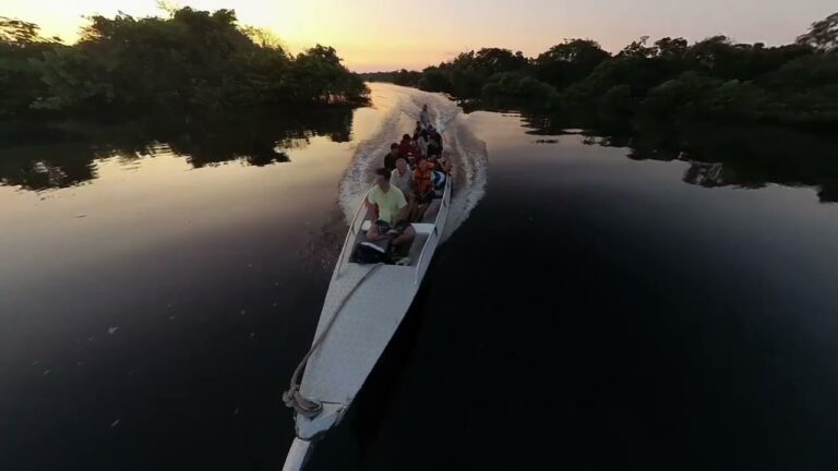 Explorando el Amazonas en Crucero
