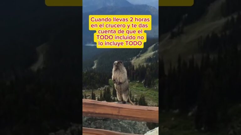 VayaCruceros: Experiencia Todo Incluido en el Mar