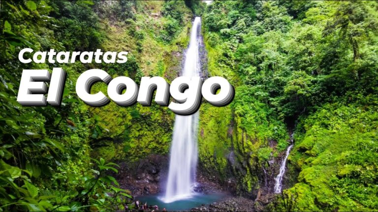 Descubre la majestuosidad de las Cataratas del Congo
