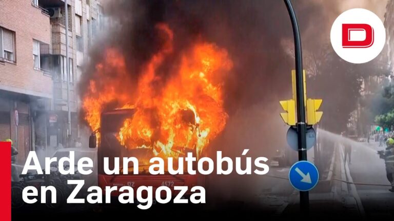 Horarios Autobuses Cinco Villas: Horario y Rutas